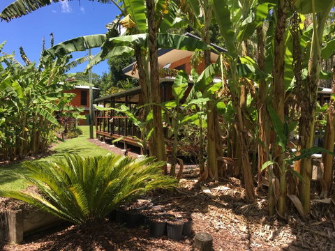 Kin Kin Cottage Retreat - Accommodation Daintree 3