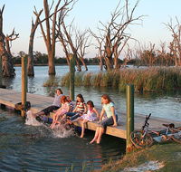 Kingston-on-Murray Caravan Park - Accommodation Daintree