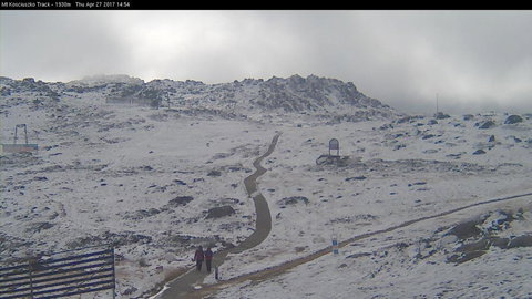 Kookaburra Lodge - Accommodation Daintree 2