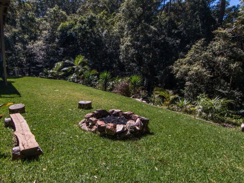 Kookaburras @ Smiths - Accommodation Daintree 2