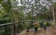 Kookaburras @ Smiths - thumb 3