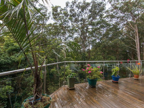 Kookaburras @ Smiths - Accommodation Daintree 3