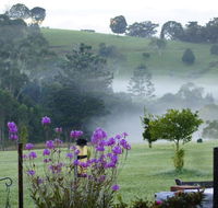 La Dolce Vita - Accommodation Daintree