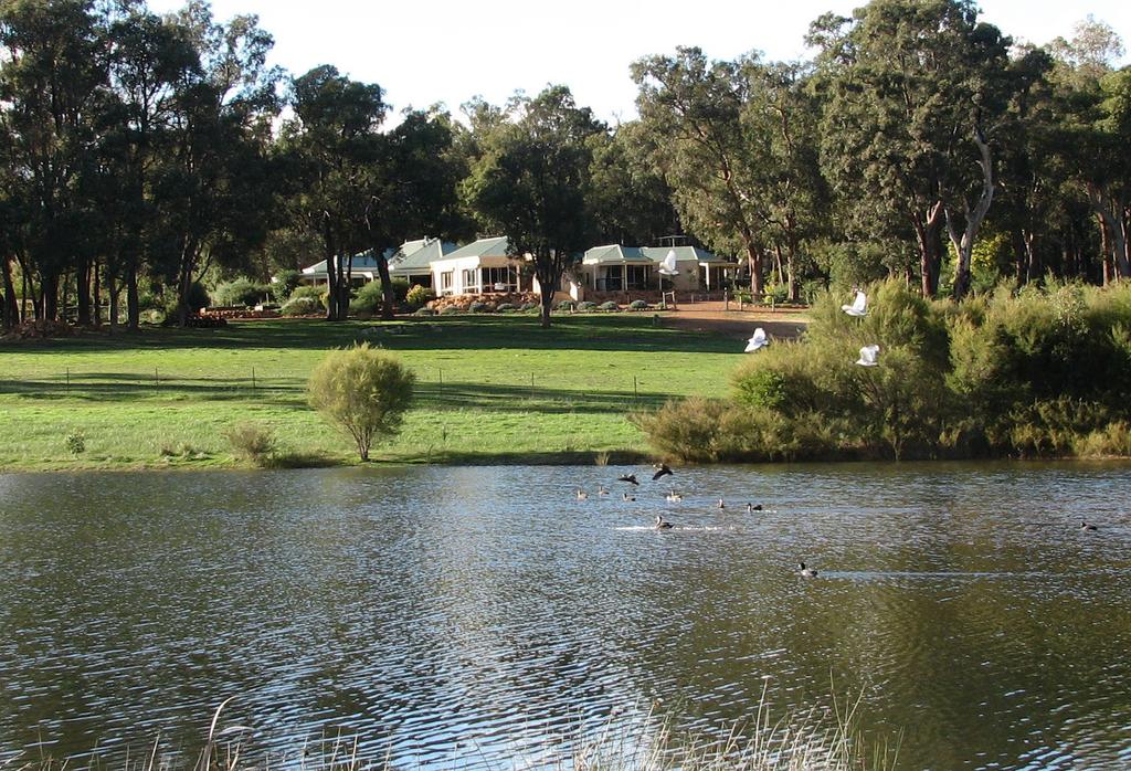 Gidgegannup WA Accommodation Daintree