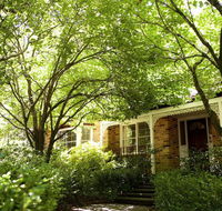 Leura Camellias - Accommodation Daintree