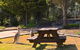 Leura Lodge At Mt Victoria - thumb 2