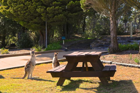 Leura Lodge At Mt Victoria - Accommodation Daintree 2