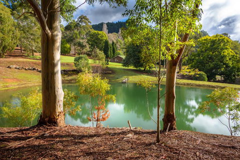 Lewana Cottages - Accommodation Daintree 1