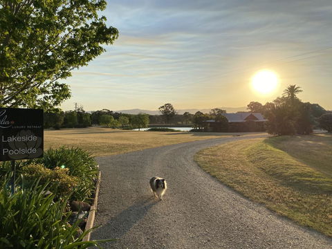 Lilies Luxury Retreats - Accommodation Daintree 3