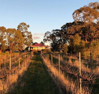 Lillicur Vineyard BB - Accommodation Daintree