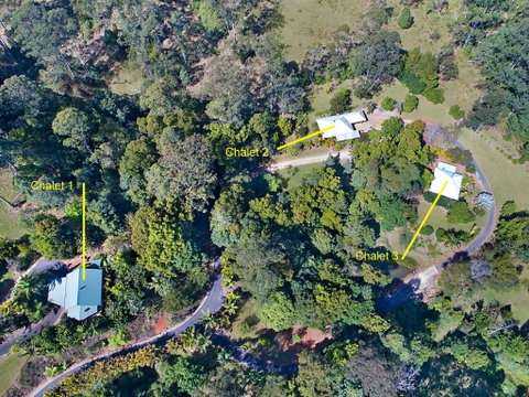 Limpinwood Lodge - Accommodation Daintree 2