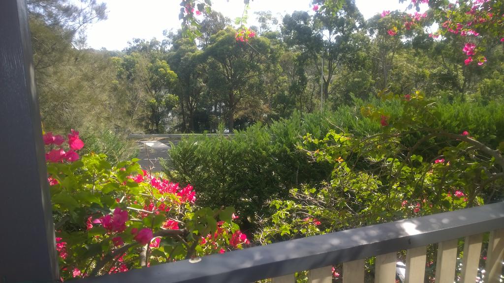 Linley Point NSW Accommodation Daintree