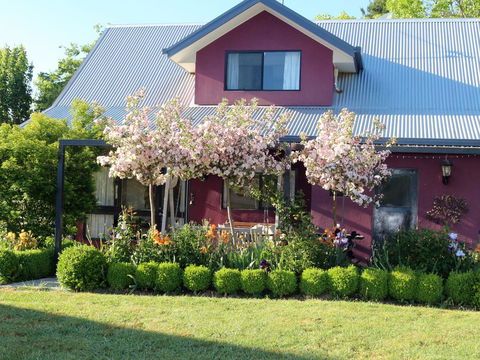 Magenta Cottage - Accommodation Daintree 0
