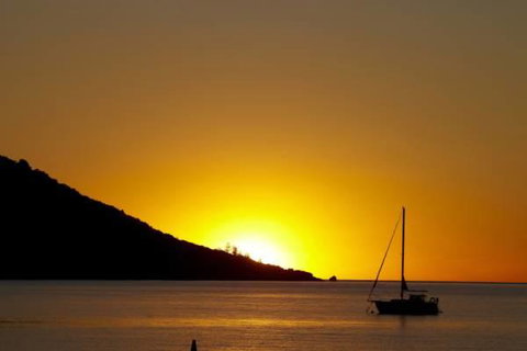 Maggies Beachfront Apt. 3 - Accommodation Daintree 3