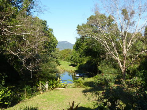 Magnolia Cottage - Accommodation Daintree 1