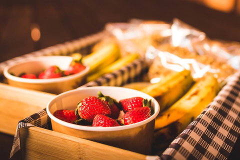 Malanda Lodge - Accommodation Daintree 3