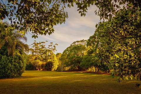 Malanda Lodge - Accommodation Daintree 1