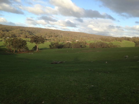 Mancuso Country Cottage Retreat - Accommodation Daintree 0