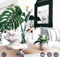 Manly Beach Retreat - Accommodation Daintree