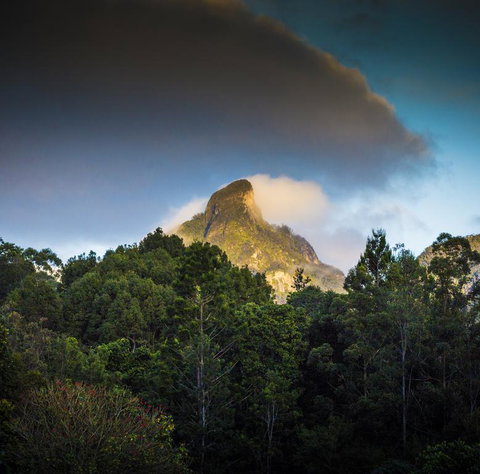 Mavis's Cabins @ Mt Warning - Accommodation Daintree 1