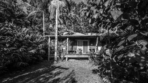 Mavis's Cabins @ Mt Warning - Accommodation Daintree 2