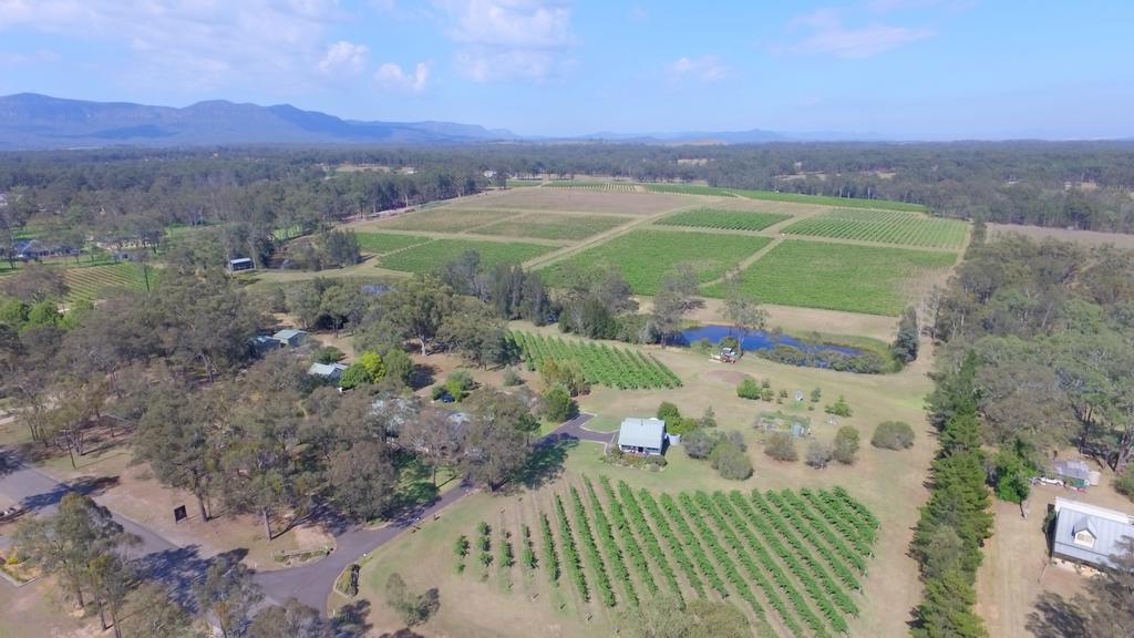 Lorn NSW Accommodation Daintree