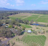 McCaffrey's Estate - Accommodation Daintree