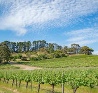 McLaren Vale Getaways - Accommodation Daintree