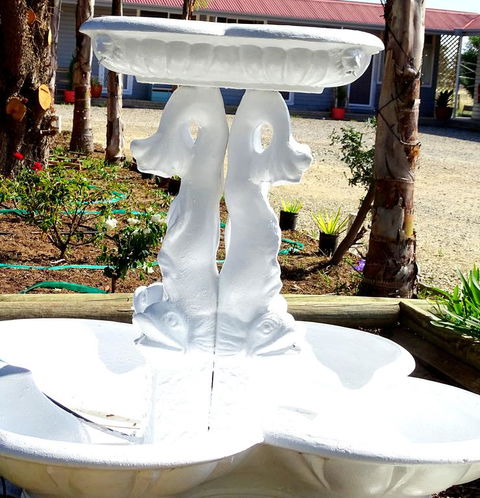 Mercury Motor Inn - Accommodation Daintree 3