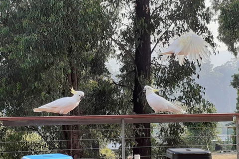 Merry Mary Casa - Accommodation Daintree 3