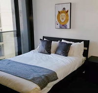 MH27 Animal World - Accommodation Daintree