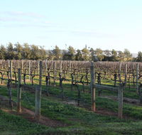 Milawa Vineyard Views - Guesthouse 2 - Accommodation Daintree