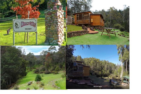 Minnow Cabins Lower Beulah - Accommodation Daintree 1