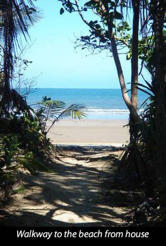 Mission Belle - Stunning Beachfront House - Accommodation Daintree 3