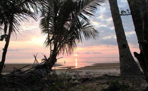 Mission Belle - Stunning Beachfront House - Accommodation Daintree 2