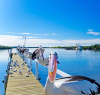 Moby Dick Waterfront Resort Motel - Accommodation Daintree