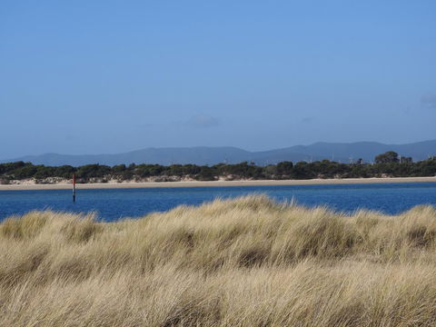 Moomba Holiday And Caravan Park - Accommodation Daintree 1