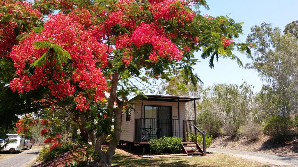 Ambrose QLD Accommodation Daintree