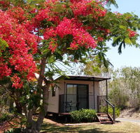 Mt Larcom Tourist Park - Accommodation Daintree