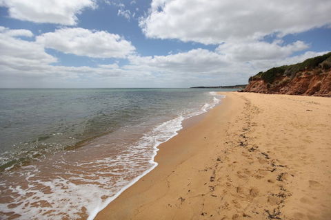 Mt Martha Villas - Accommodation Daintree 2