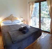 Mt Warning Rainforest Park - Accommodation Daintree
