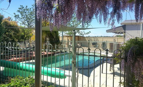 Must Love Dogs B&B & Self Contained Cottage - Accommodation Daintree 2