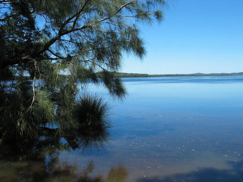 Myall River Magic - Accommodation Daintree 1