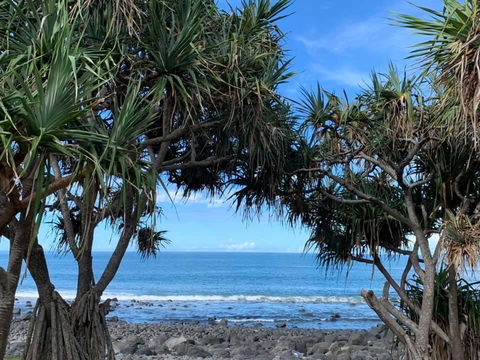 Nautilus Beachside Apartments - Accommodation Daintree 3