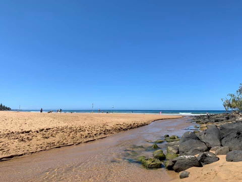 Nautilus Beachside Apartments - Accommodation Daintree 1