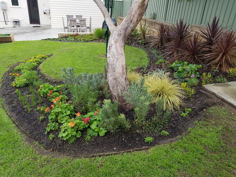 Spencer Cottage - Accommodation Daintree 2