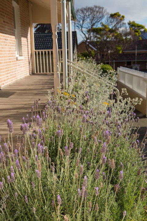 Spencer Cottage - Accommodation Daintree 11