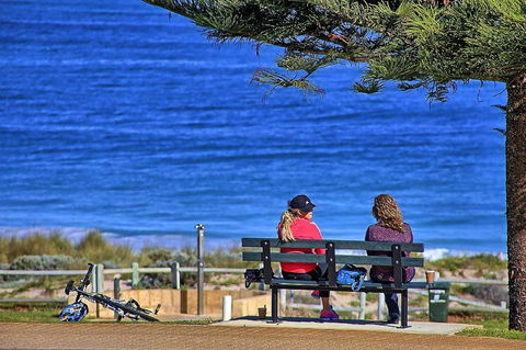 Beachfront @ Scarbs - Accommodation Daintree 15