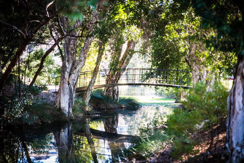 Como Retreat - Two Bedroom Villa - Accommodation Daintree 19
