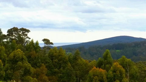 Karri Aura - Accommodation Daintree 10